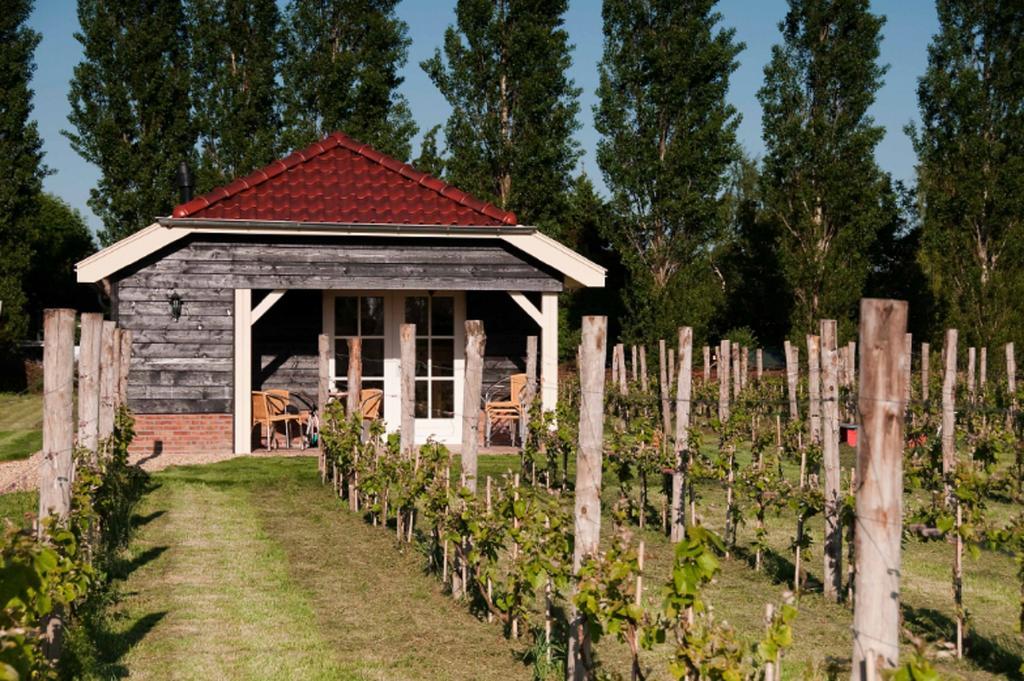 Park Nieuwgrapendaal Hotel Terwolde Kültér fotó