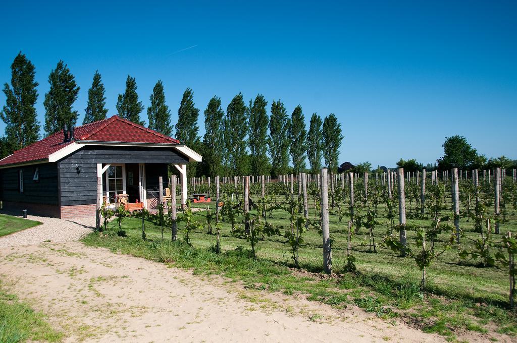 Park Nieuwgrapendaal Hotel Terwolde Kültér fotó